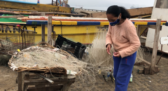 Subpesca y Sernapesca presentaron registro de actividades conexas