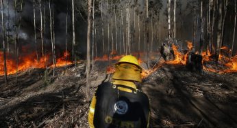 CONAF utilizará inteligencia artificial para prevenir incendios forestales