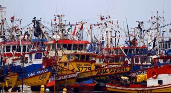 Comisión de Pesca aprueba suspensión de plazos de caducidad pesquera artesanal por tiempo limitado y por solo una vez