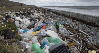 5 de junio Día Mundial del Medio Ambiente: por un planeta con menos plásticos