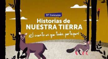 Estudiantes podrán aprender a crear cuentos y poemas con el concurso Historias de Nuestra Tierra e IBBY Chile
