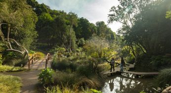 Parque Tricao: un panorama imperdible para pasar unas vacaciones de invierno rodeado de flora y fauna nativa