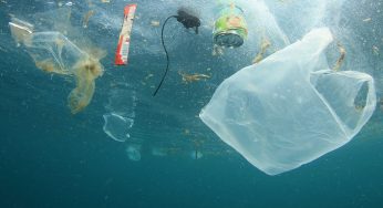 El planeta sufre: más de 170 billones de plásticos en los océanos
