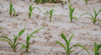 Lluvias aseguraron el abastecimiento de agua para la población, pero seguimos en sequía