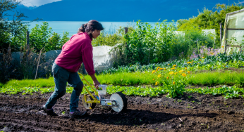 FIA abre una nueva edición del Premio Nacional Mujer AgroInnovadora 2023