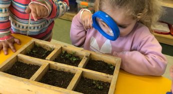 Jardines infantiles de Integra fortalecen competencias científicas en niños y niñas