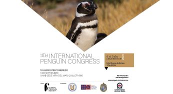 UNAB Viña del Mar es sede del 11th International Penguin Congress
