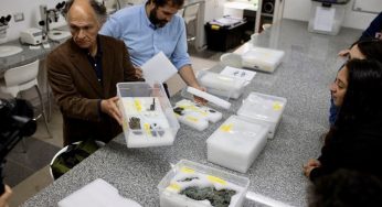 UNAB presenta en Chile fósiles de nueva especie de cocodrilo prehistórico hallada en Aysén