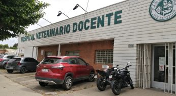 Hospital Veterinario Docente de Universidad Santo Tomás Viña del Mar comenzó atención a todo público