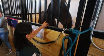 Brote de encefalomielitis equina en Argentina activa plan de vigilancia SAG en territorio nacional