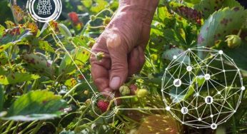 Nuevo centro científico aportará a la sustentabilidad agrícola, cuidado de la salud humana y biorremediación