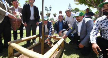 El proyecto de arborización urbana más grande de Latinoamérica cumplió el 100% de su meta