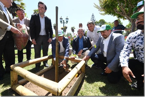 Árbol 100 mil Quillota Respira Frente al Cambio Climático (3)