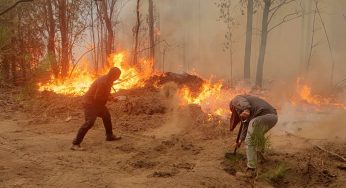 Observatorio Climático USS proyecta alto riesgo de incendios forestales para este miércoles en el valle interior entre Valparaíso y Los Ángeles