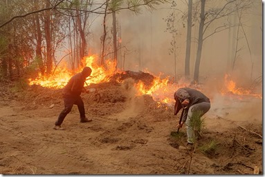 Incendios forestales se registran en la comuna de Quilleco 6/2/2023