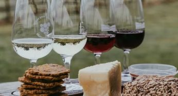 Los mejores vinos y espumantes para celebrar en Año Nuevo