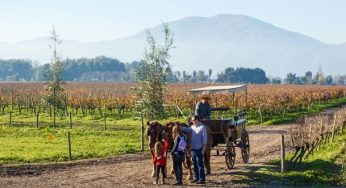 Fiestas de las Vendimias 2024: Panoramas imperdibles para este verano