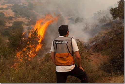 INCENDIO PUMANQUE CHILE