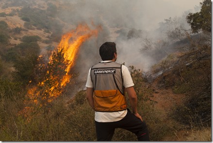 INCENDIO PUMANQUE CHILE