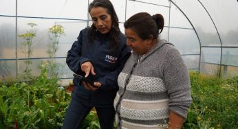 “Mi pago INDAP”: Plataforma digital facilitará los pagos de más de 62 mil agricultores de todo el país
