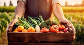Verano y alimentación prebiótica