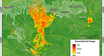 Primeras imágenes satelitales de la NASA revelan la magnitud y severidad de los incendios de Valparaíso