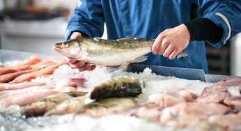 Semana Santa: Cómo identificar pescados frescos y en buen estado