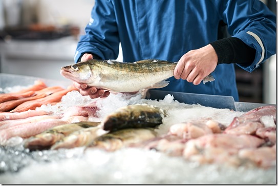 fresh fish in a fishshop