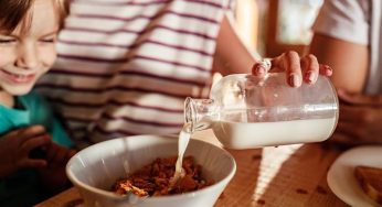Estudio posiciona a los cereales de grano entero como alimento clave para el desayuno