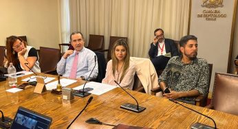 Nueva ley de pesca: idea de legislar es aprobada por unanimidad en comisión de la Cámara