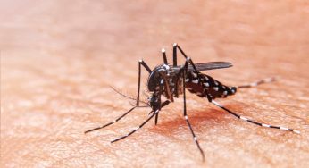 El cambio climático puede ser uno de los factores en el aumento de casos de dengue