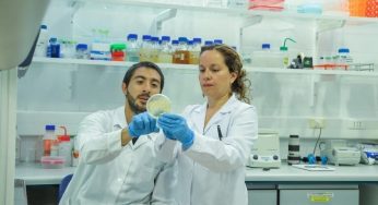 Lanzamiento del Núcleo Milenio BIOGEM: ciencia e innovación al servicio del desarrollo sostenible