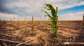 Buscan formar a profesores de escuelas y liceos para enseñar sobre cambio climático