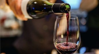 Cartelera del Centro de Extensión Duoc UC te invita a conocer sobre “De Saberes y Sabores” en las Cavas de Cousiño