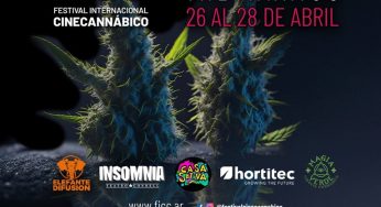 Con películas inéditas: Vuelve a Chile el Festival Internacional de Cine Cannábico