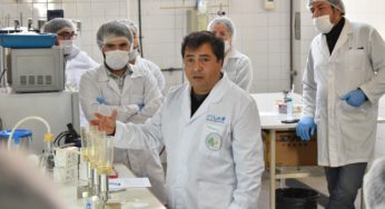 Innovador diplomado en Microcervecería PUCV abre sus postulaciones para su versión 2024