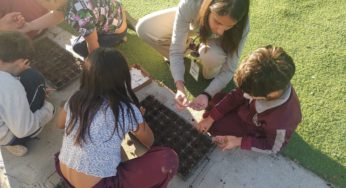 Escuela de Quilpué crea su propia huerta con apoyo de estudiantes de Santo Tomás Viña del Mar