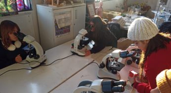 UST Viña del Mar donó microscopios profesionales a liceo de Nogales