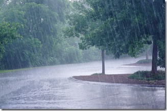 heavy rain and tree in the parking lot