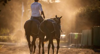 Brote de anemia infecciosa equina en el Club Hípico de Santiago