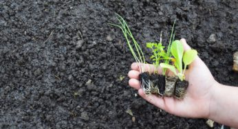 Más de 300 agricultores, estudiantes y docentes participaron en jornadas sobre agroecología