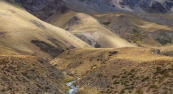 Implementación Ley de la Naturaleza: Organizaciones ambientales exigen modificar proceso de actualización de Sitios Prioritarios