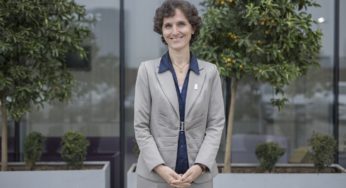 Ecología y Creación
