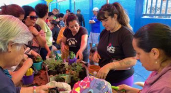 Ministerio de las Culturas abre convocatorias de apoyo a Puntos de Cultura Comunitaria para la recuperación de espacios públicos y barrios afectados