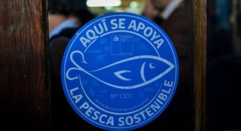 Sernapesca refuerza invitación a postular al Sello Azul: Convocatoria termina este domingo 30