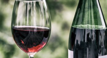 Nutricionista destaca nuevo etiquetado de bebidas alcohólicas para grupos de riesgo