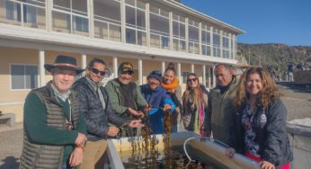 CIMARQ UNAB y Consejo del Mar de Rapa Nui trabajan en la conservación y protección del ecosistema marino insular