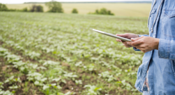 Corfo abre convocatorias para entregar 584 becas de especialización en el sector Agrícola y Silvoagropecuario