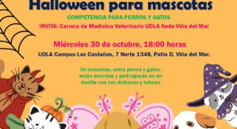 Concurso de disfraces de Halloween para mascotas, miércoles 30 octubre, 18:00 horas, UDLA Sede Viña
