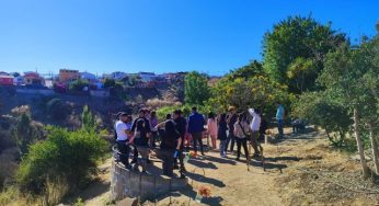 Duoc UC impulsa la sostenibilidad con proyecto Mejoramiento del Mirador Parque Ecológico El Olivar